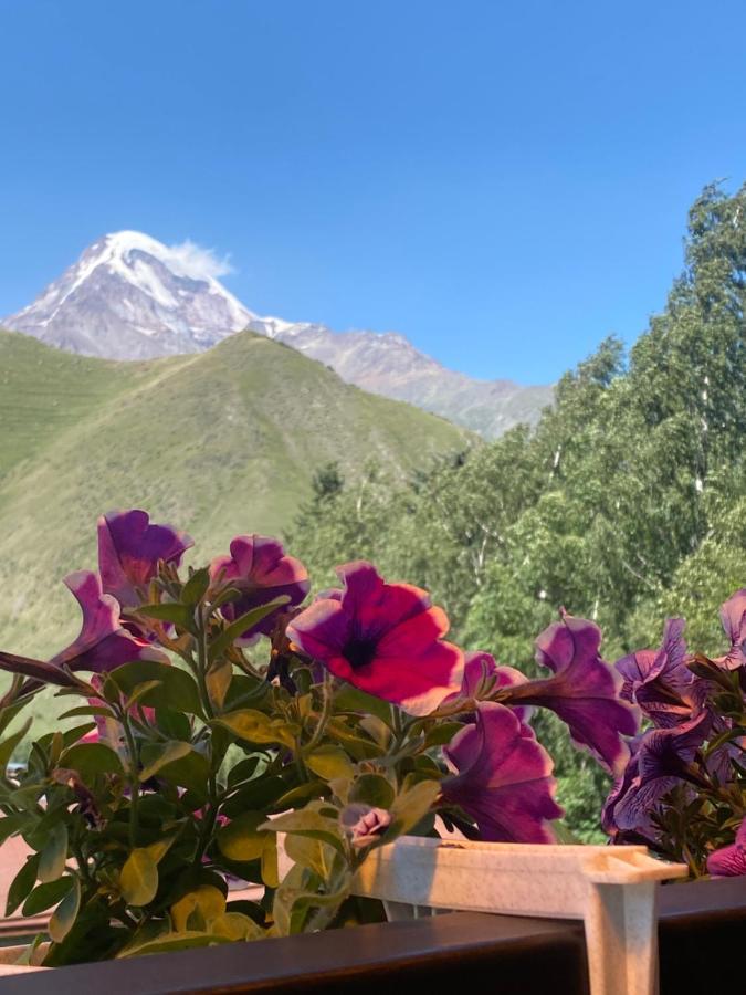 Hotel Elegant Kazbegi Kültér fotó