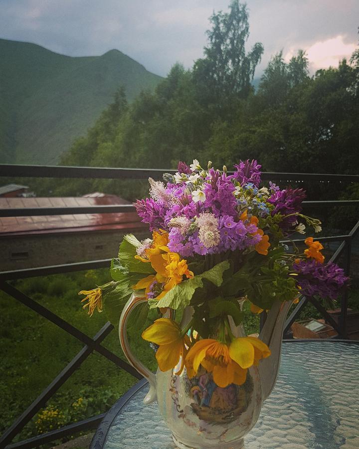 Hotel Elegant Kazbegi Kültér fotó