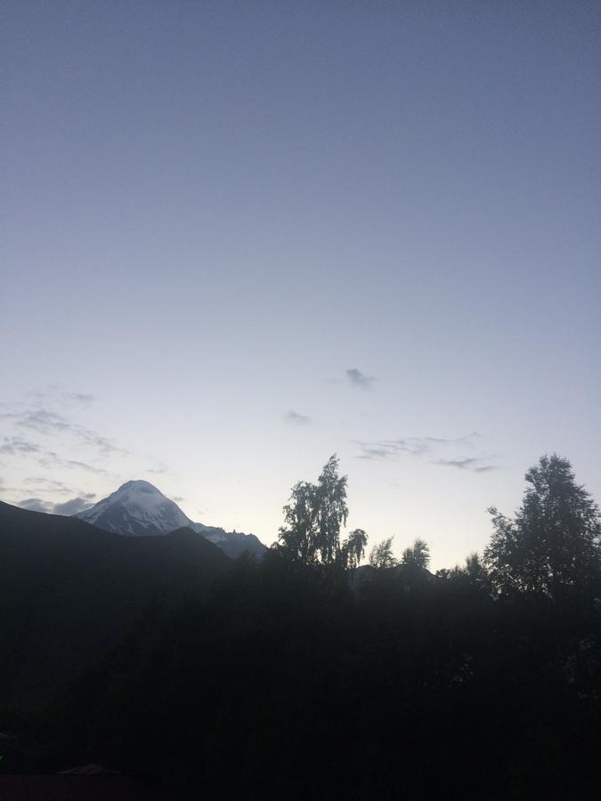 Hotel Elegant Kazbegi Kültér fotó